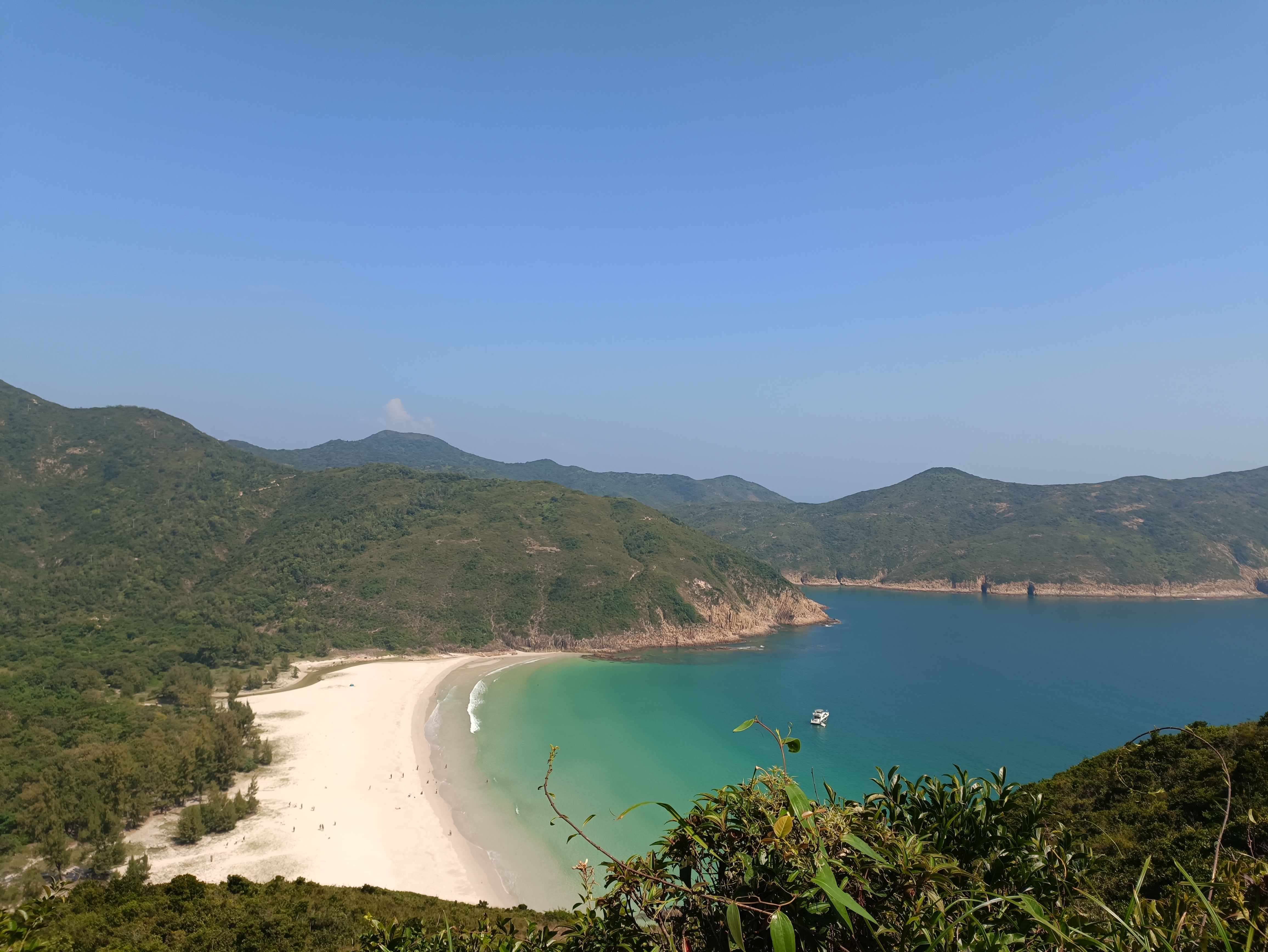 我可以完成一个月一个季度一年的记账及报税