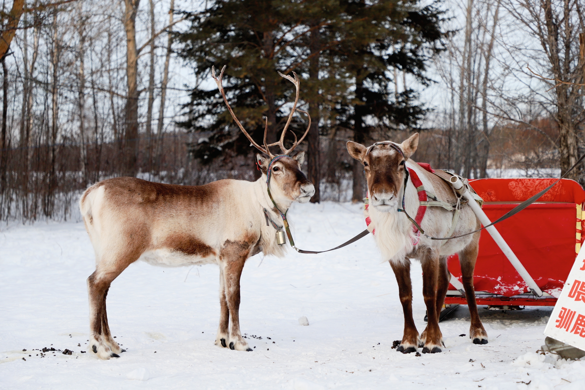 我可以制作15秒以上的视频剪辑，包括成品视频的字幕核对