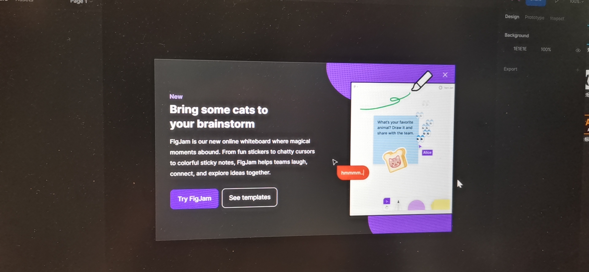 我可以交互设计一整套