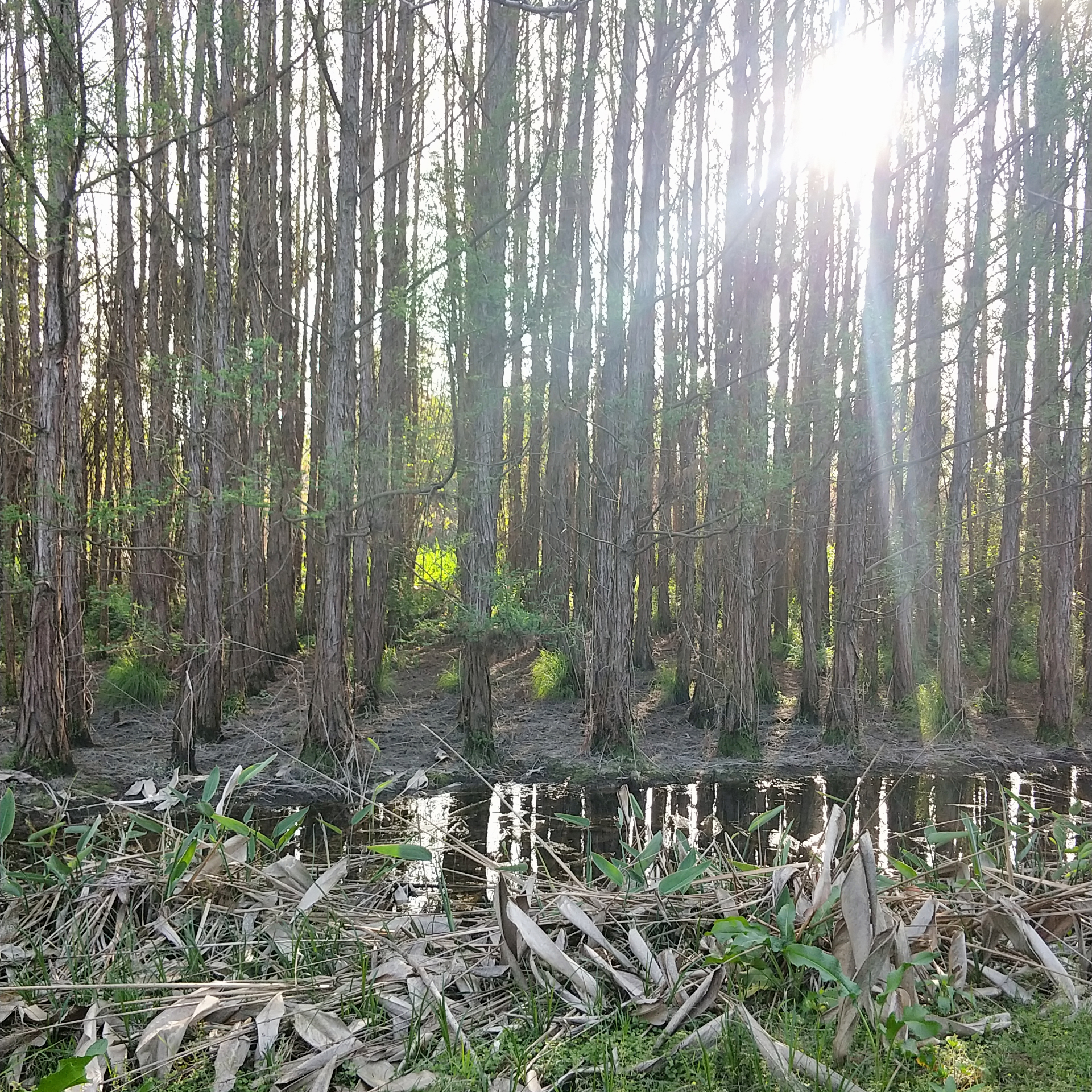 我可以做你一个小时的情绪宣泄者