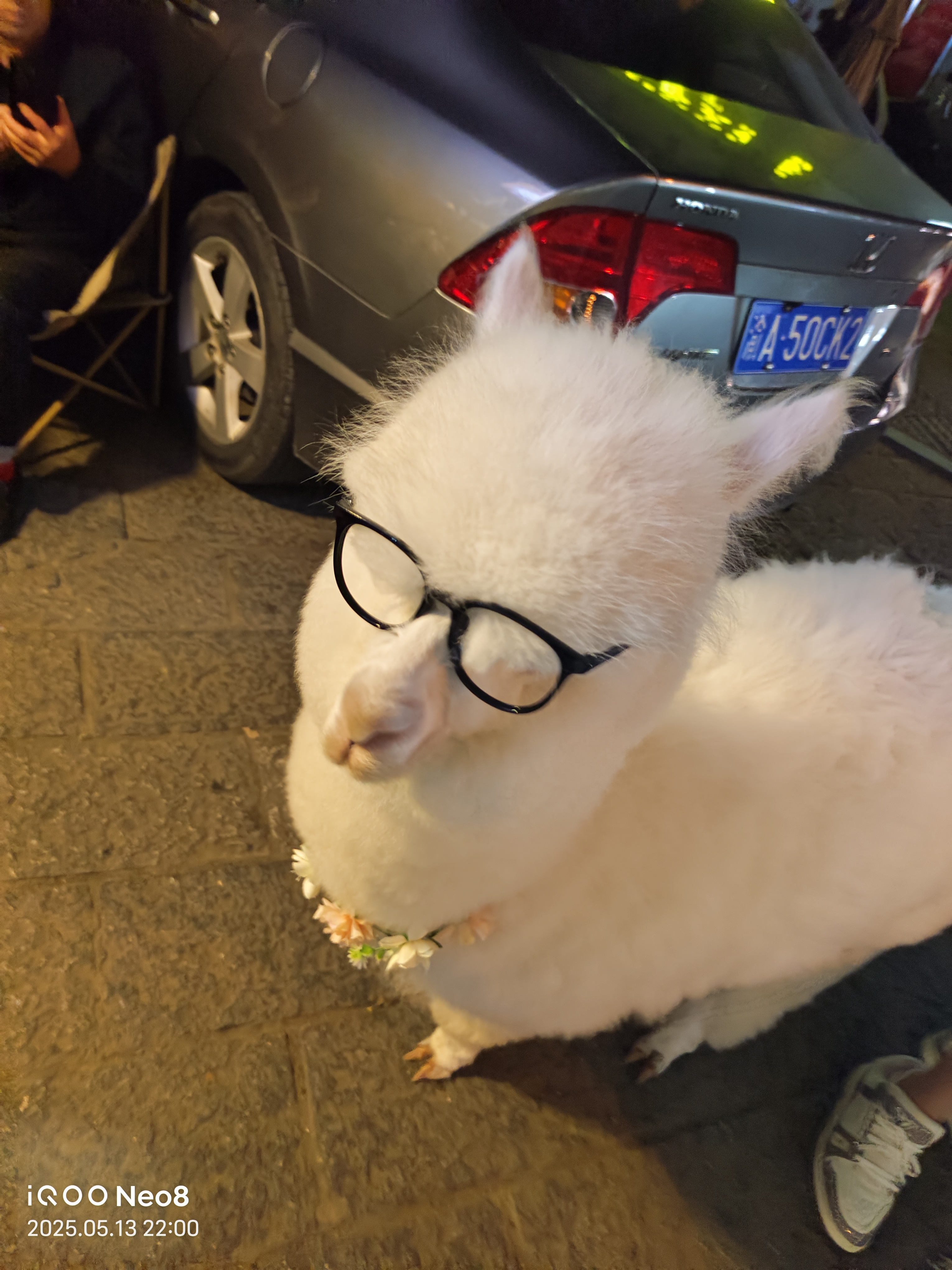 我可以视频剪辑30秒视频