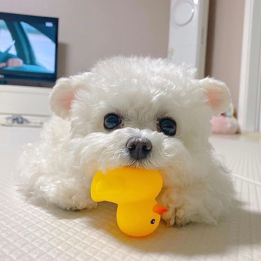 我可以完成500字以内的文案编辑