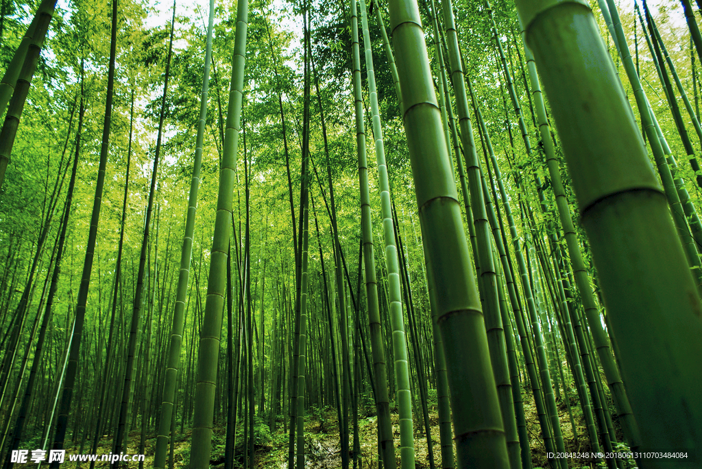 我可以完成一个日语和英语的视频翻译和剪辑