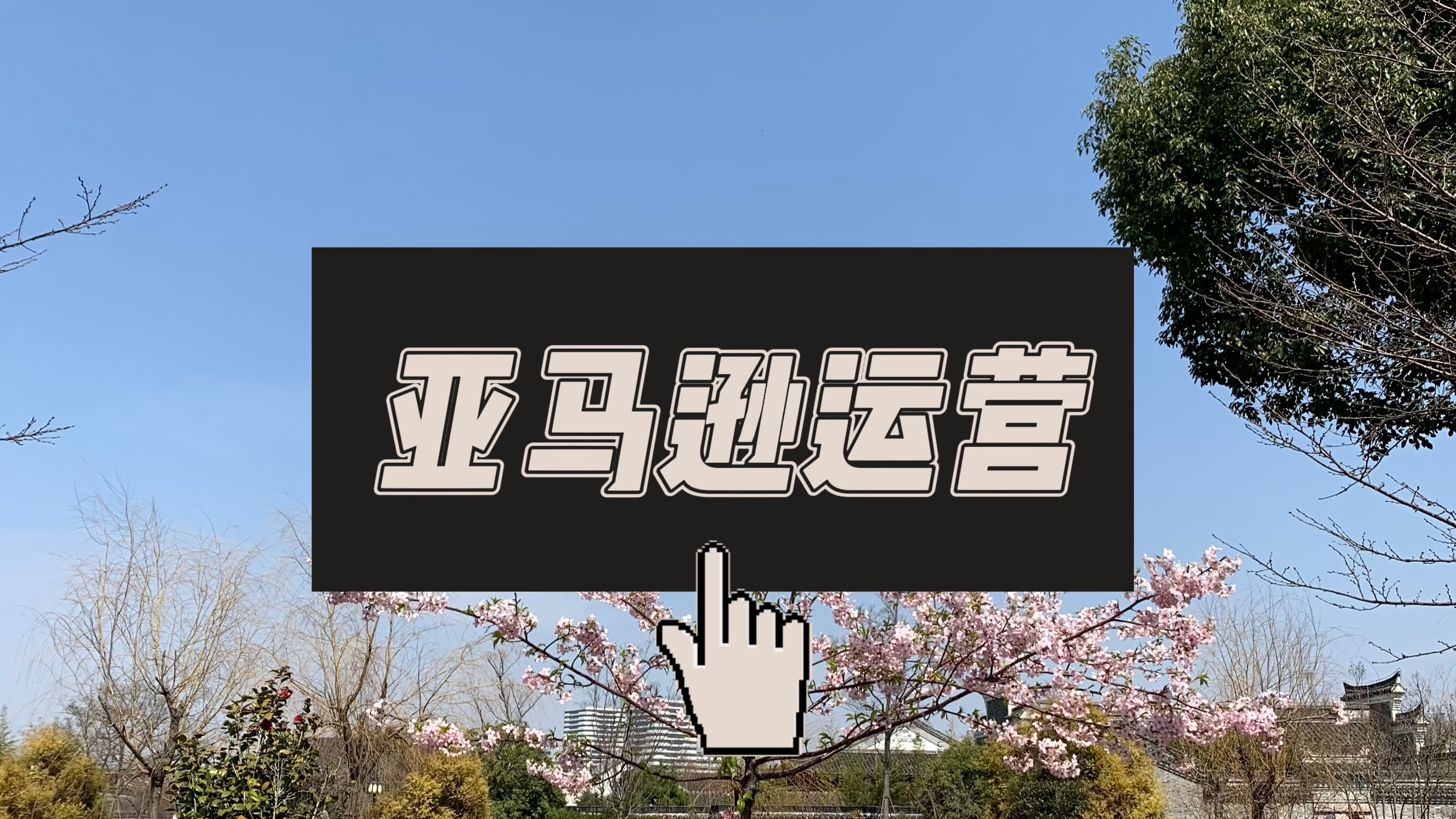 我可以运营一家亚马逊店铺