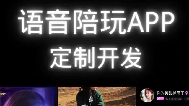 我可以开发基金，直播，社交，物流，o2o，电商等