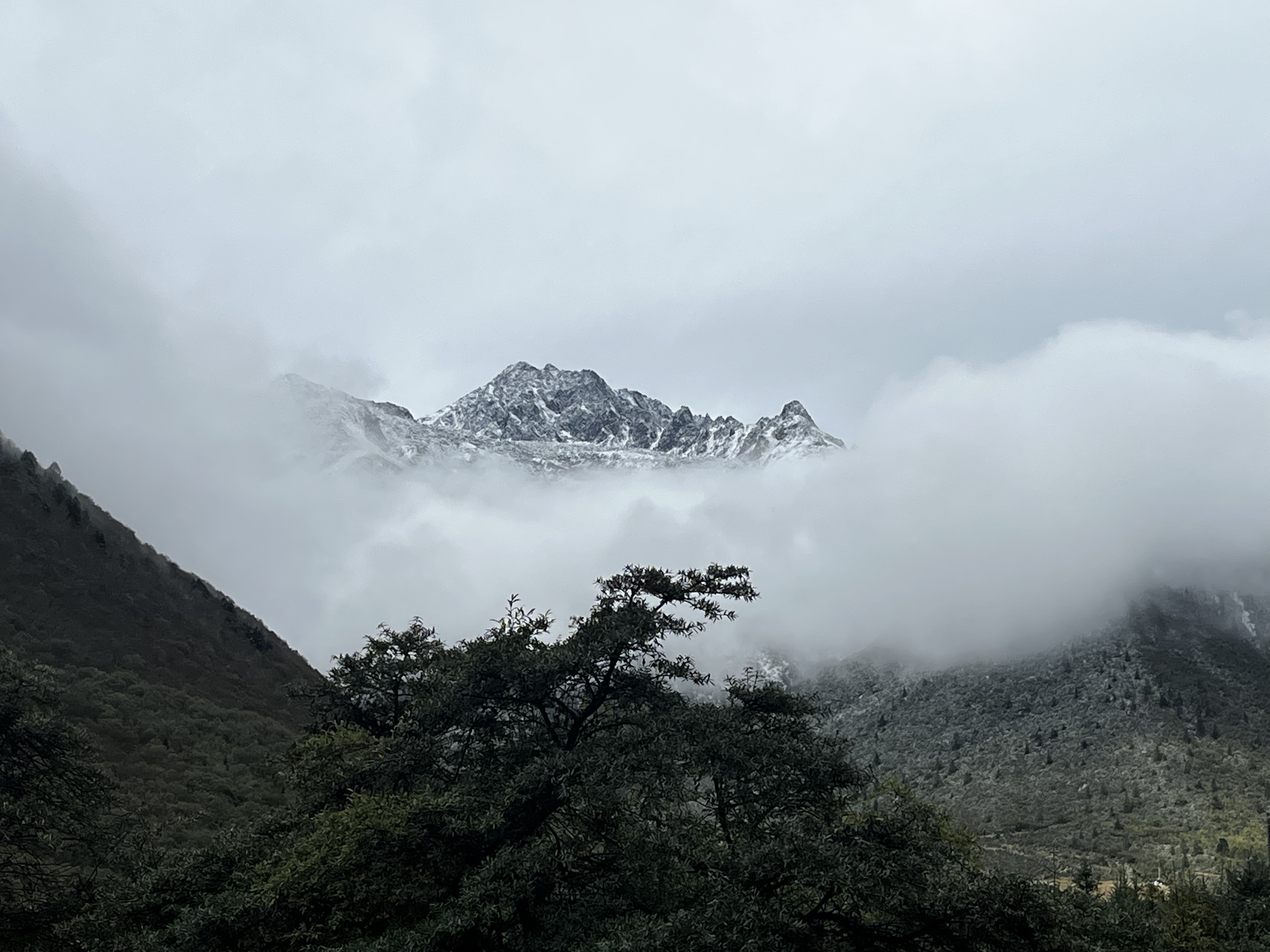我可以做账，纳税申报，1家