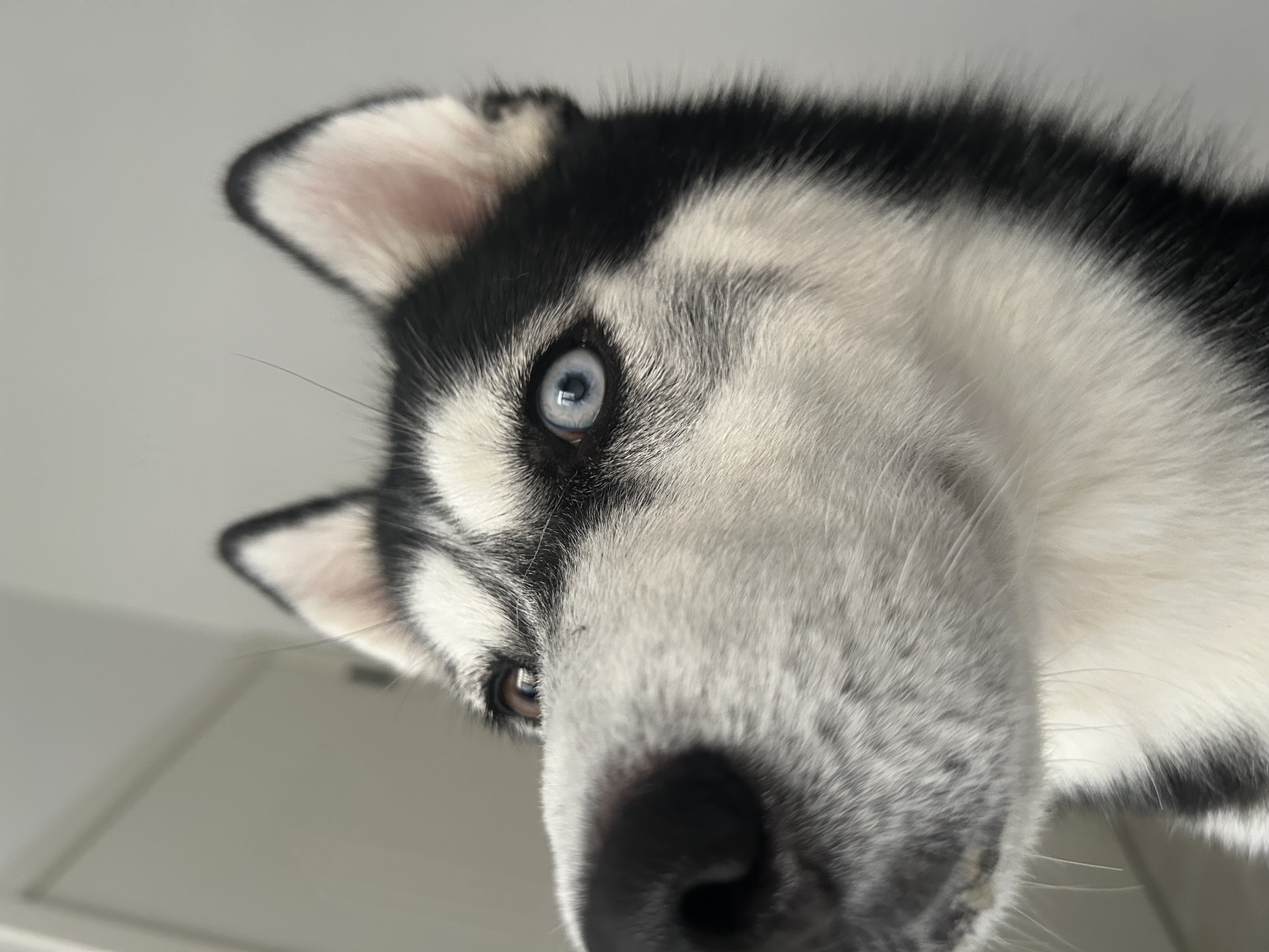 我可以陪你打LOL主打娱乐话多1