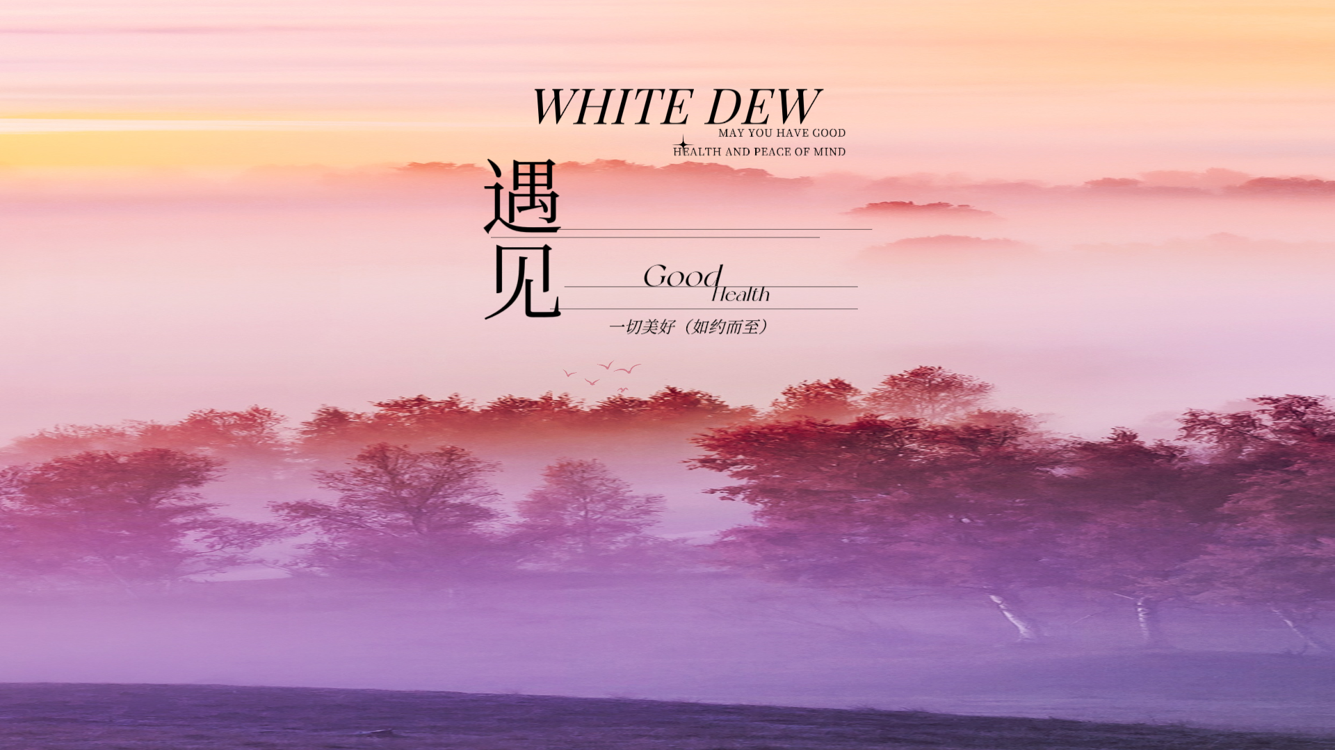 我可以用行为性格分析57秒帮你快速了解一个人