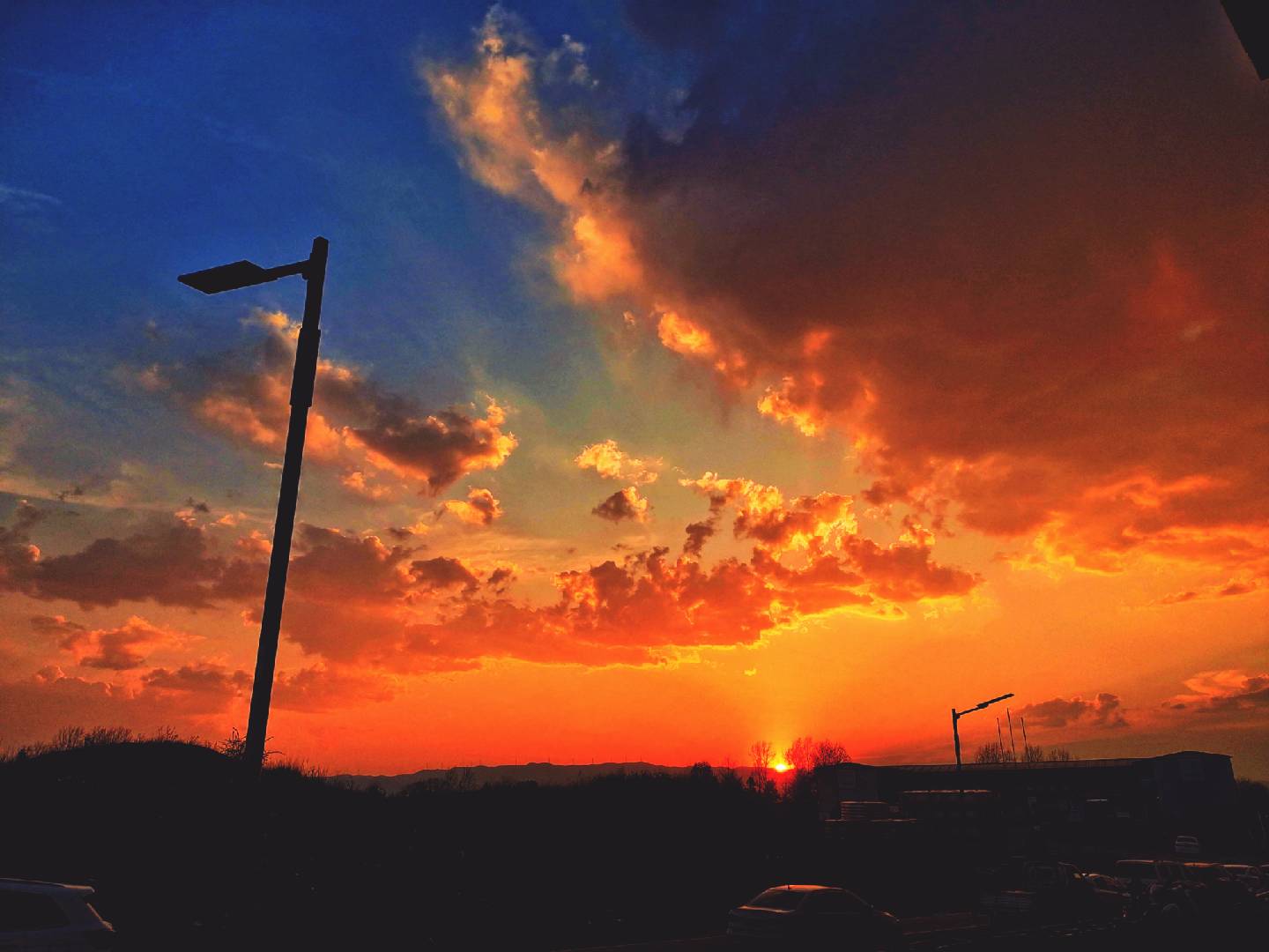 我可以做5种语言翻译