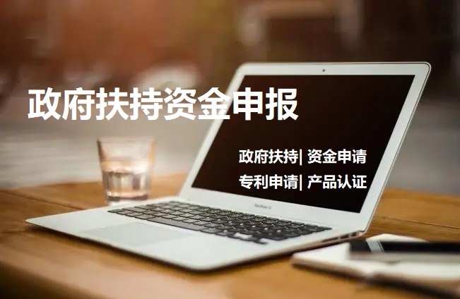 我可以完成一家企业年度政府项目申报规划