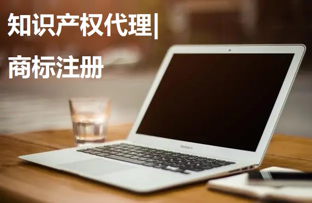 我可以完成一项商标注册登记