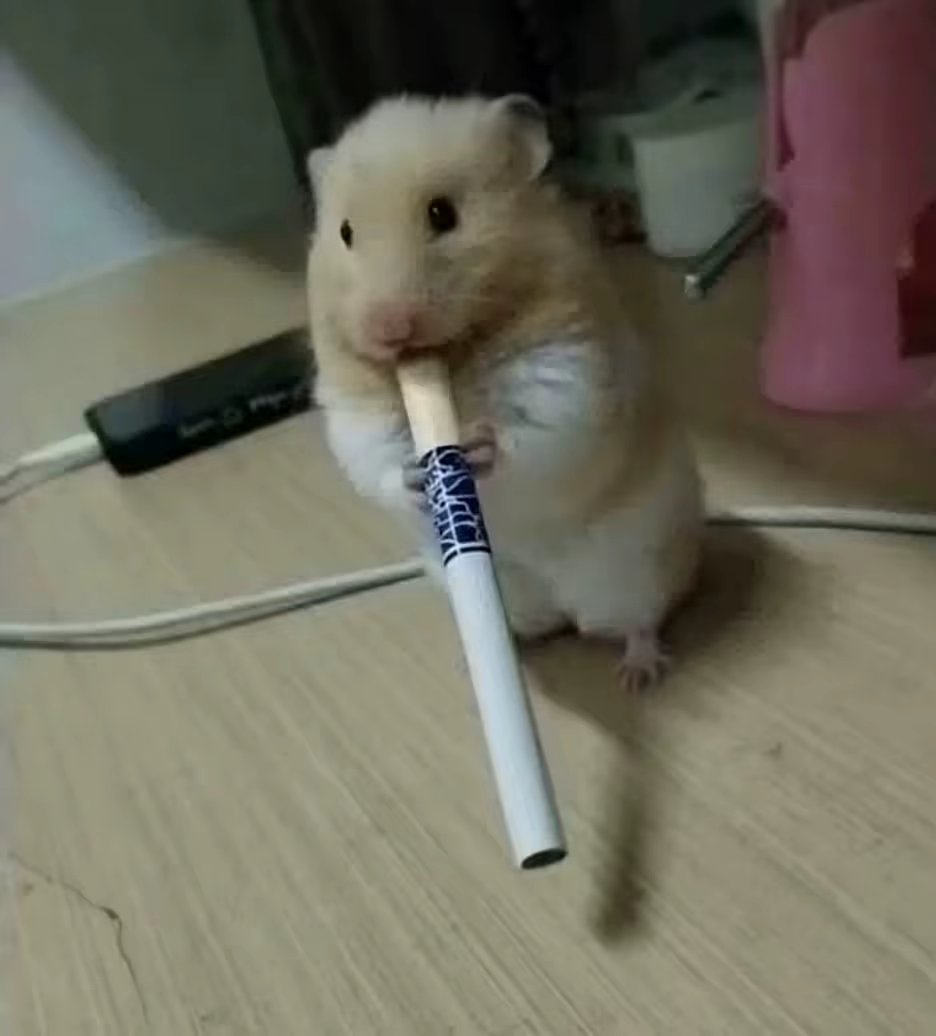 我可以一定会让你开心