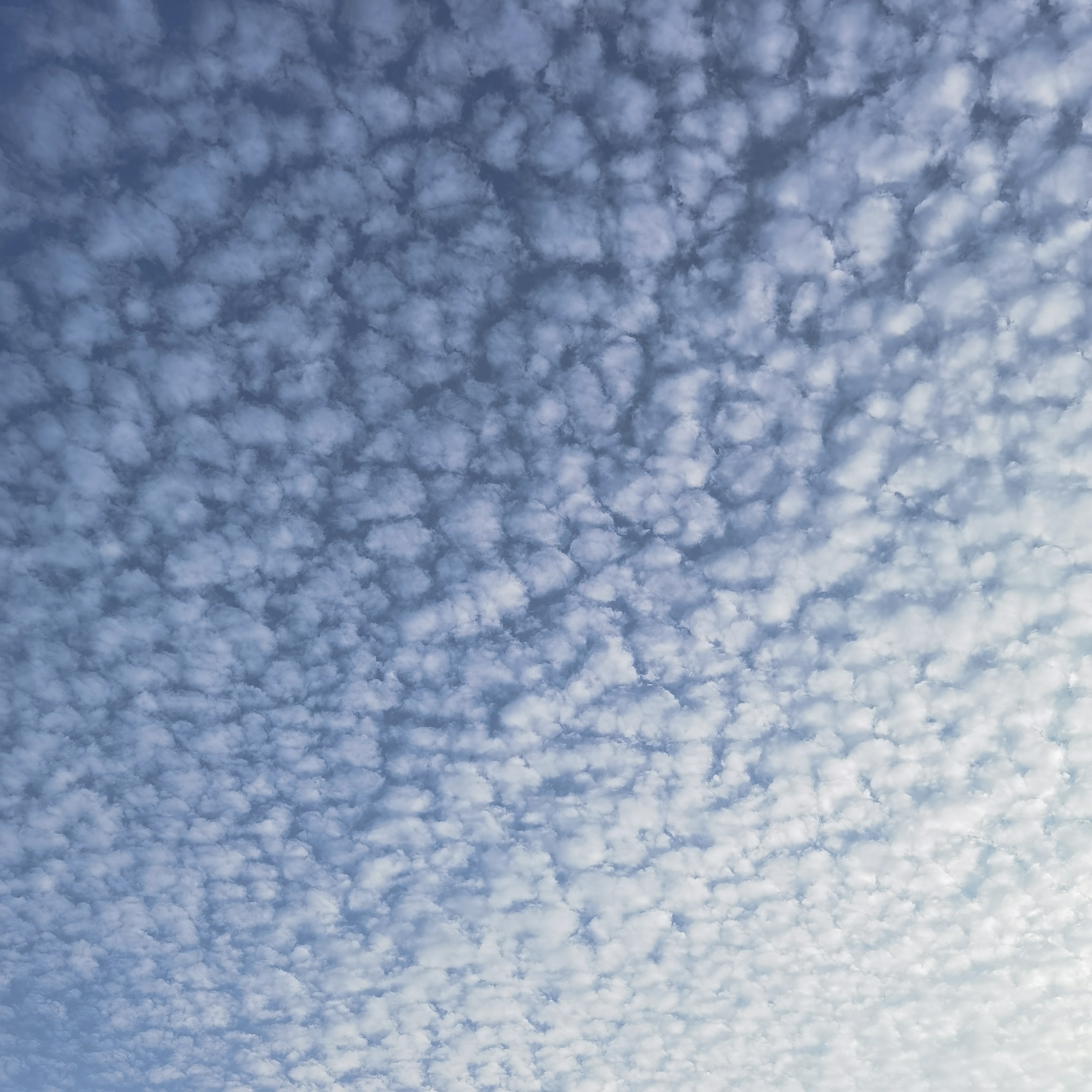 我可以部署及发布页面站点和安装https证书，2天内完成