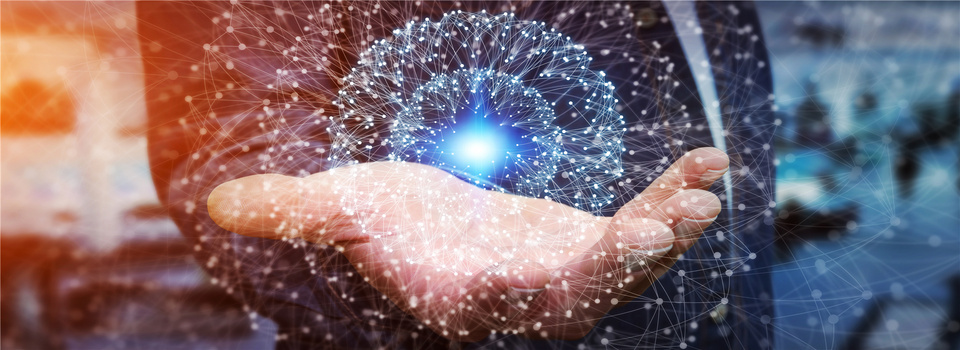 我可以完成500字文案编辑