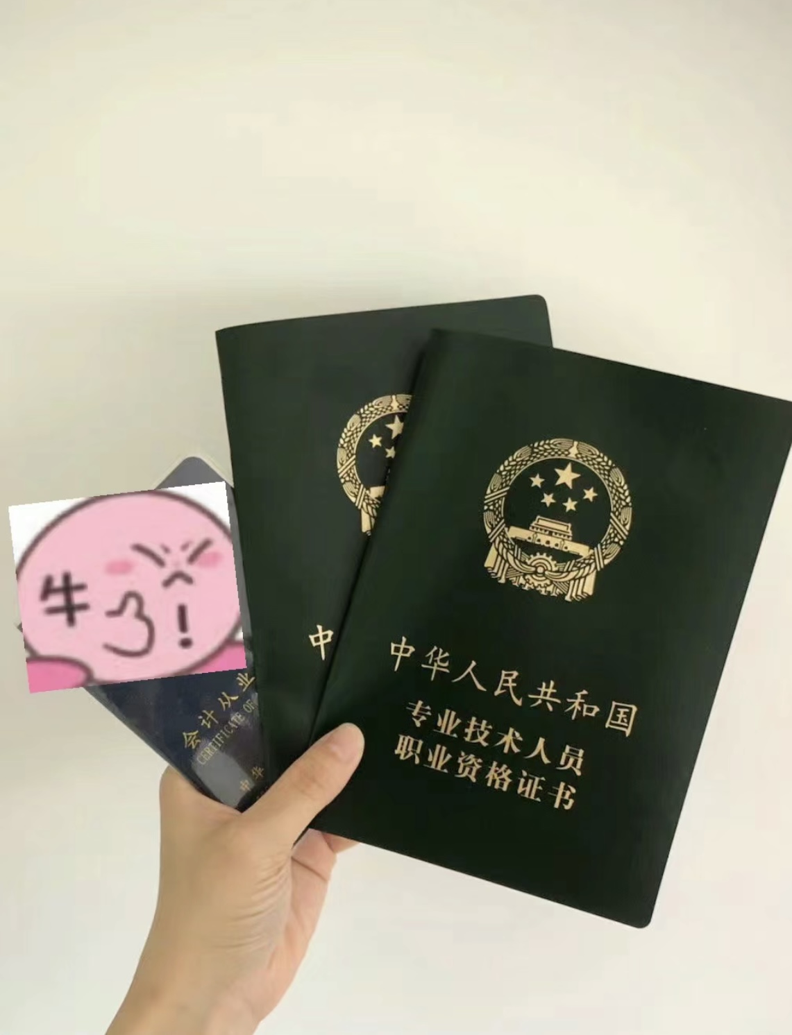 我可以会计账务处理/会计资料整理，一星期内完成