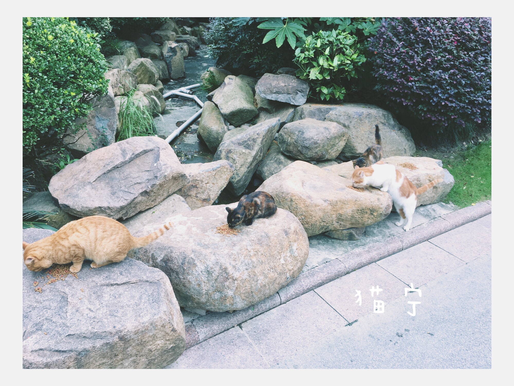 我可以为你做1小时的树洞