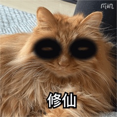 我可以陪你玩王者荣耀1小时