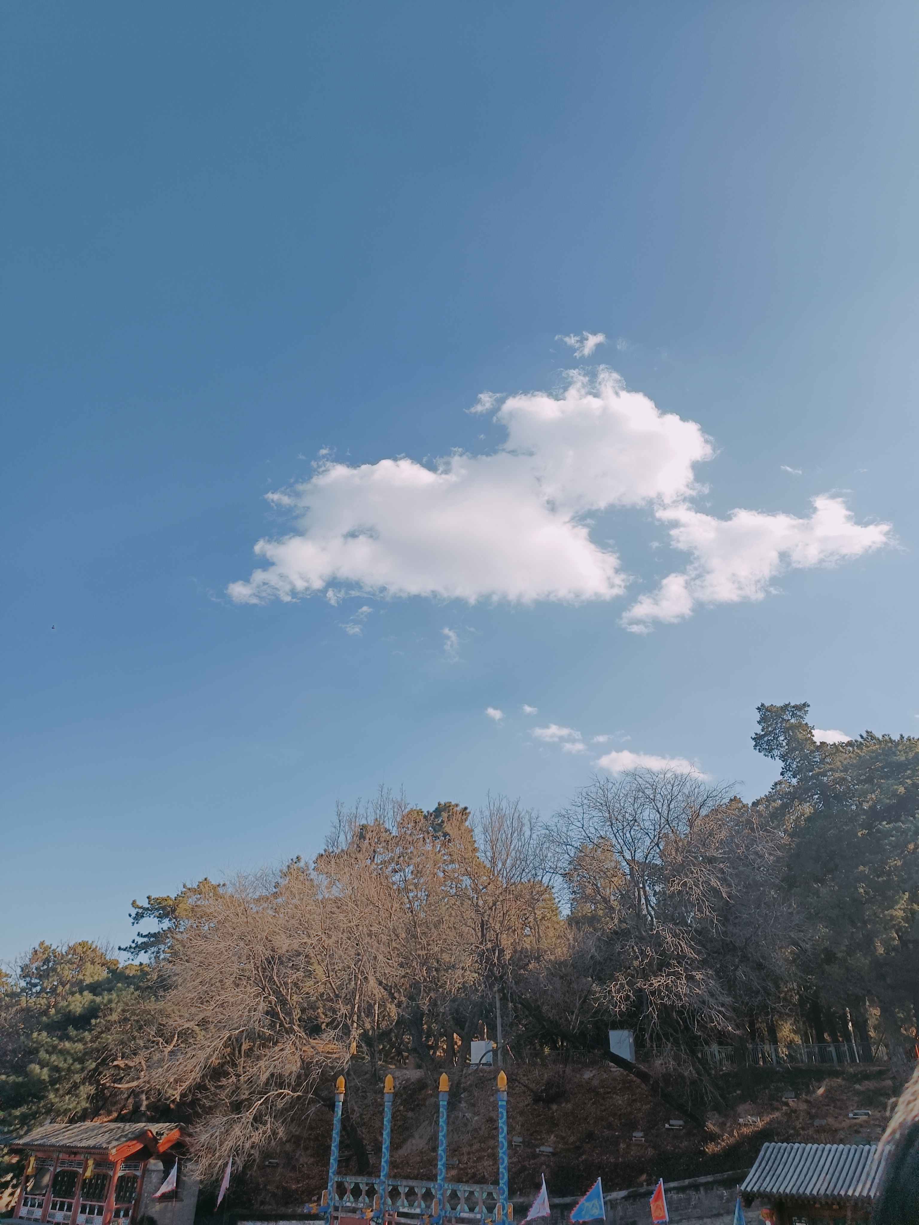 我可以叫醒服务七天