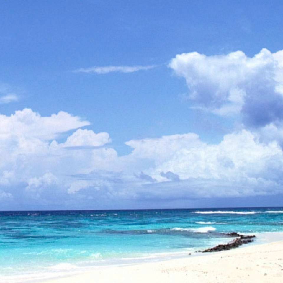 我可以一周出具财务报表，税务咨询，代理记账，纳税咨询