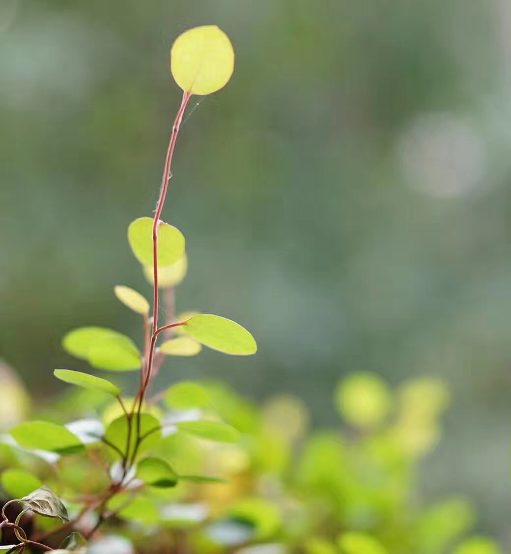 我可以倾听为你1小时的心理倾诉