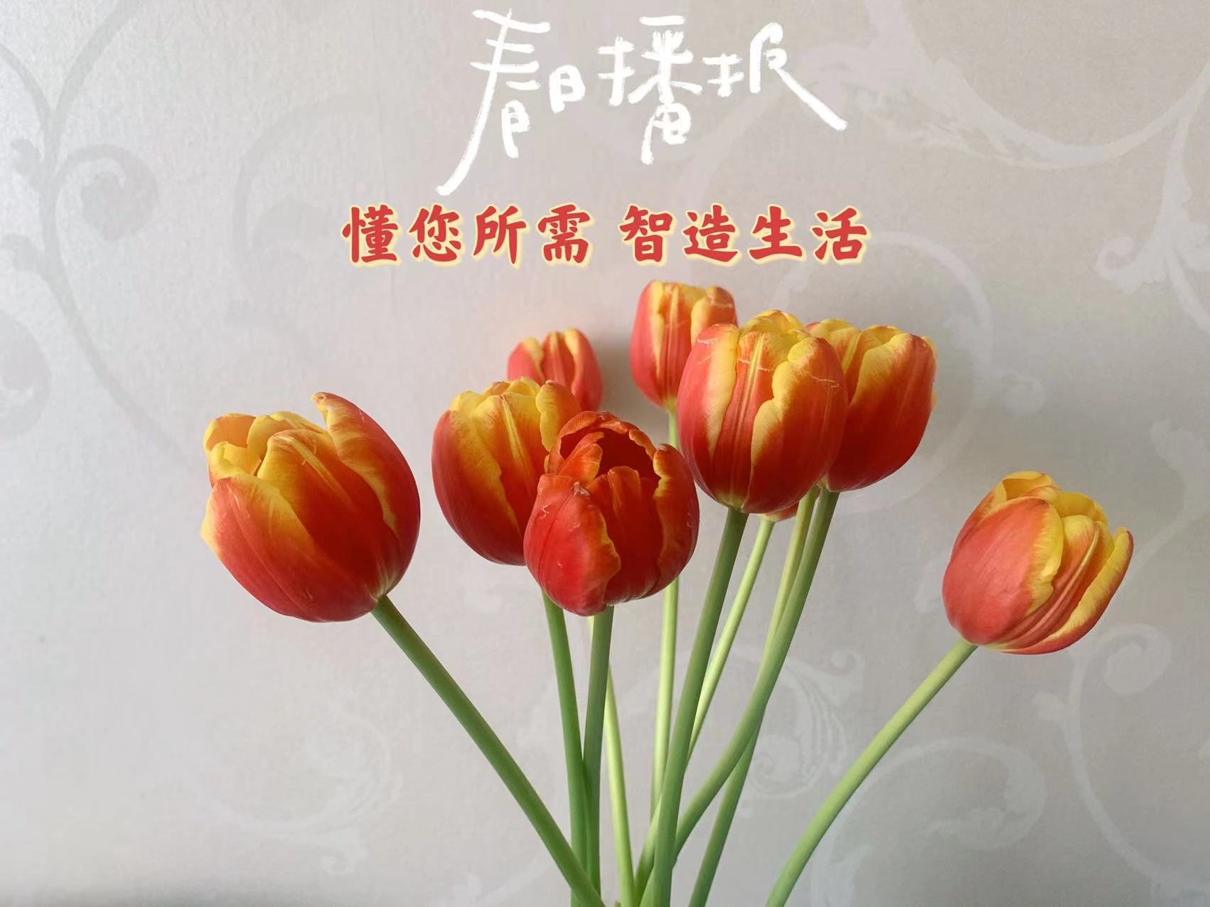 我可以成为你的线上助理、产品定制及采购5