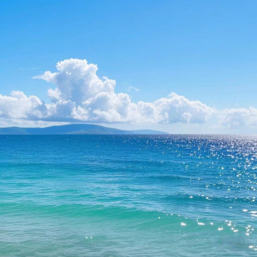 我可以完成一场游戏的胜利