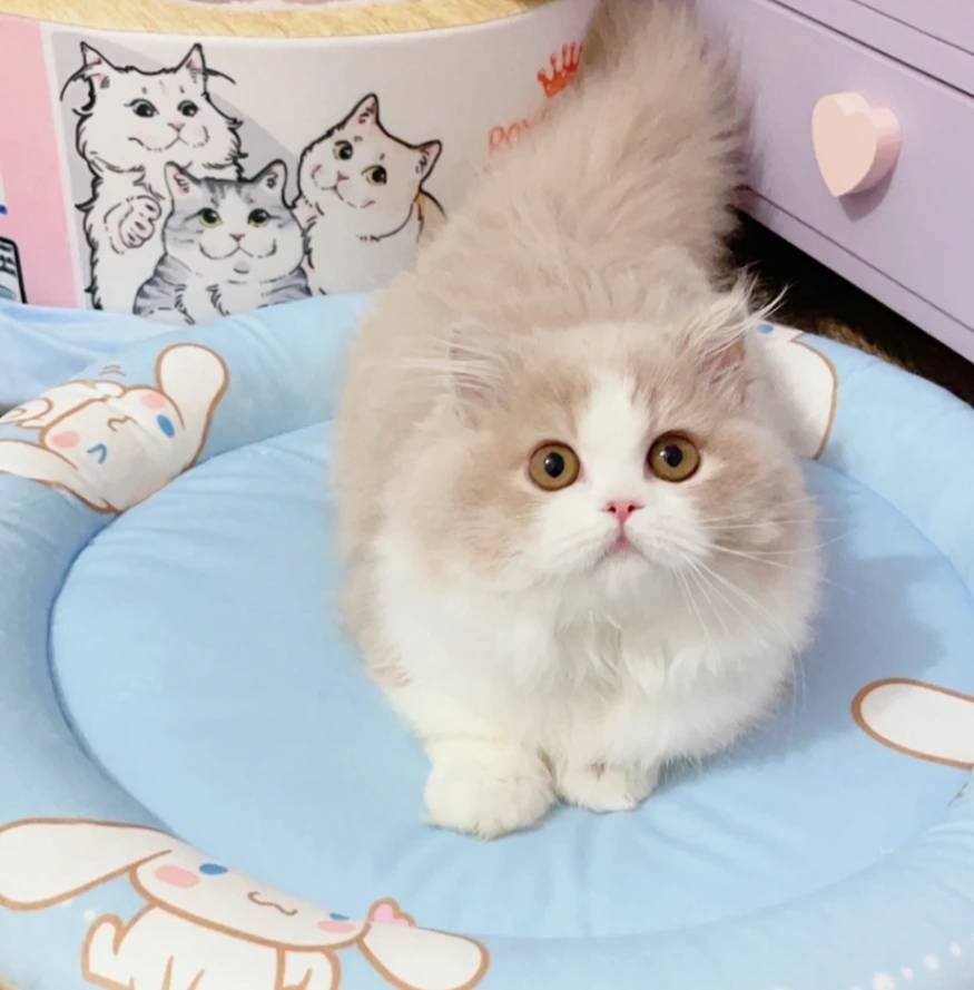 我可以看出情感或者说你心理上的问题500字