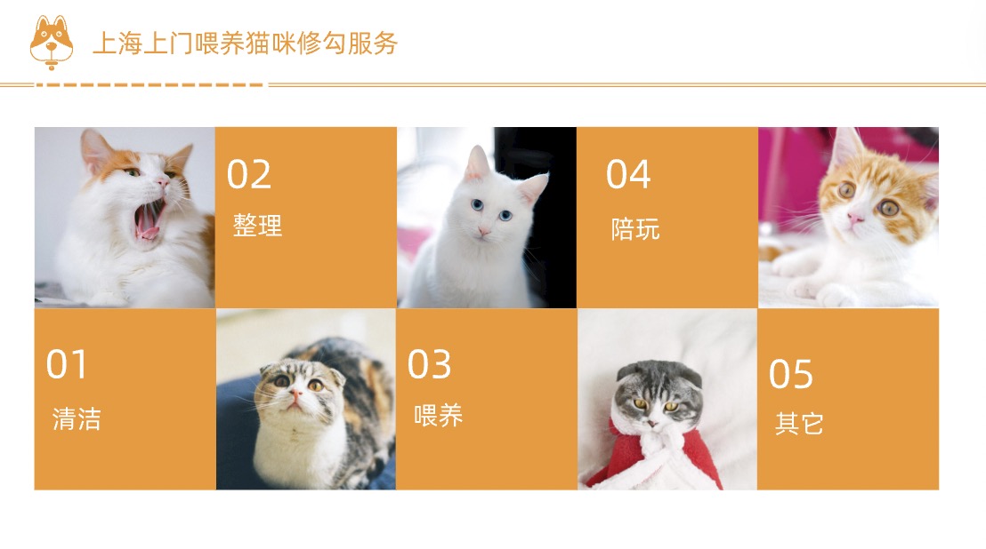 我可以上门喂猫一次