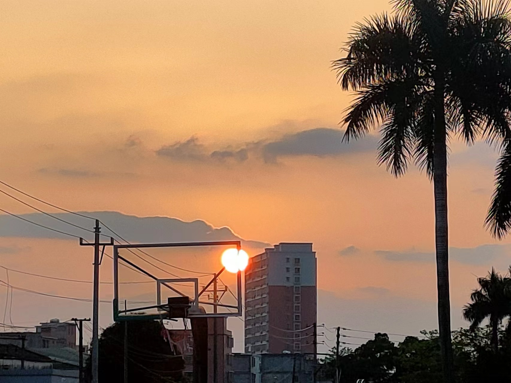 我可以叫醒你一个星期的服务