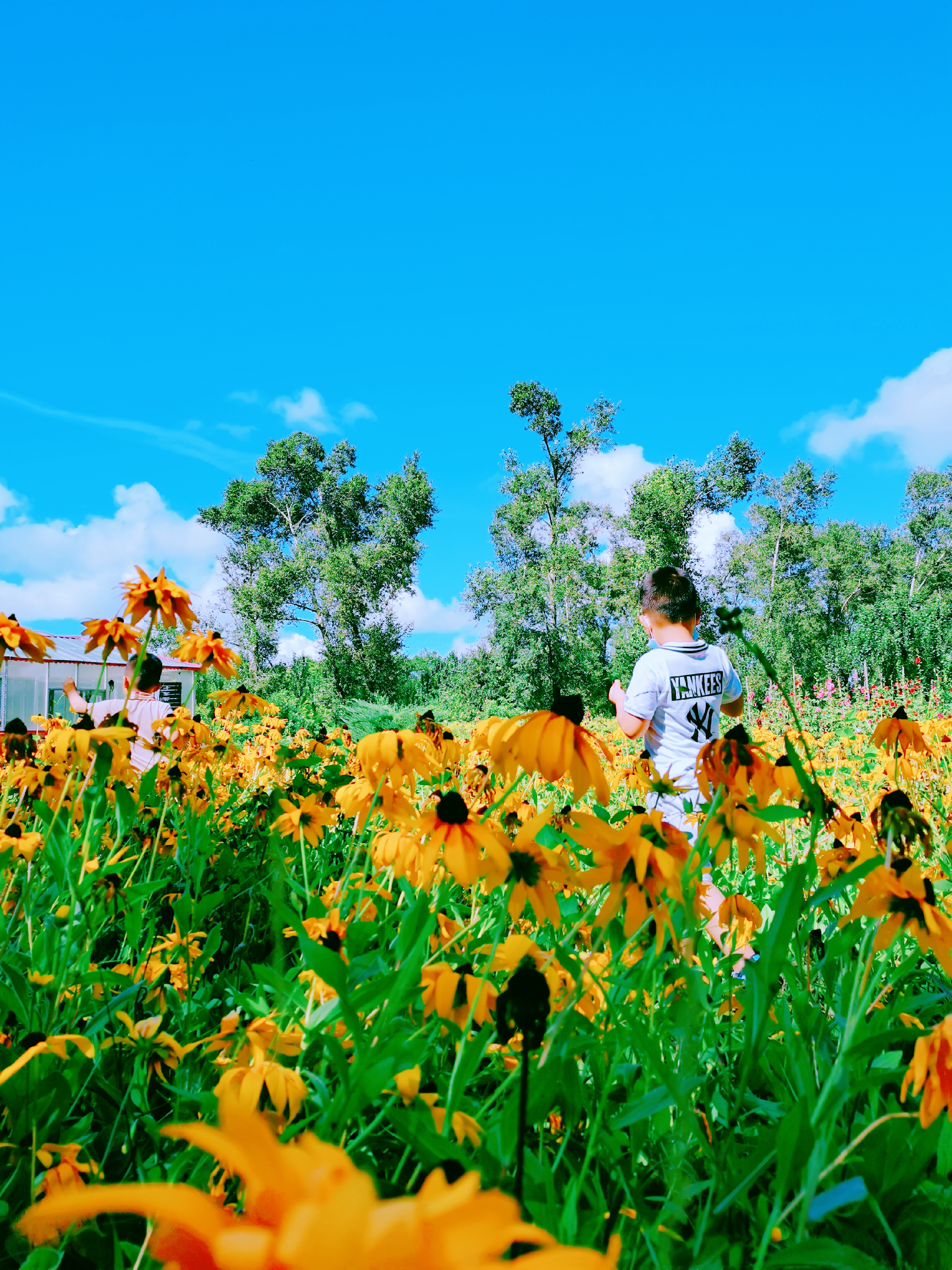 我可以8分钟短视频编辑制作、图片PS