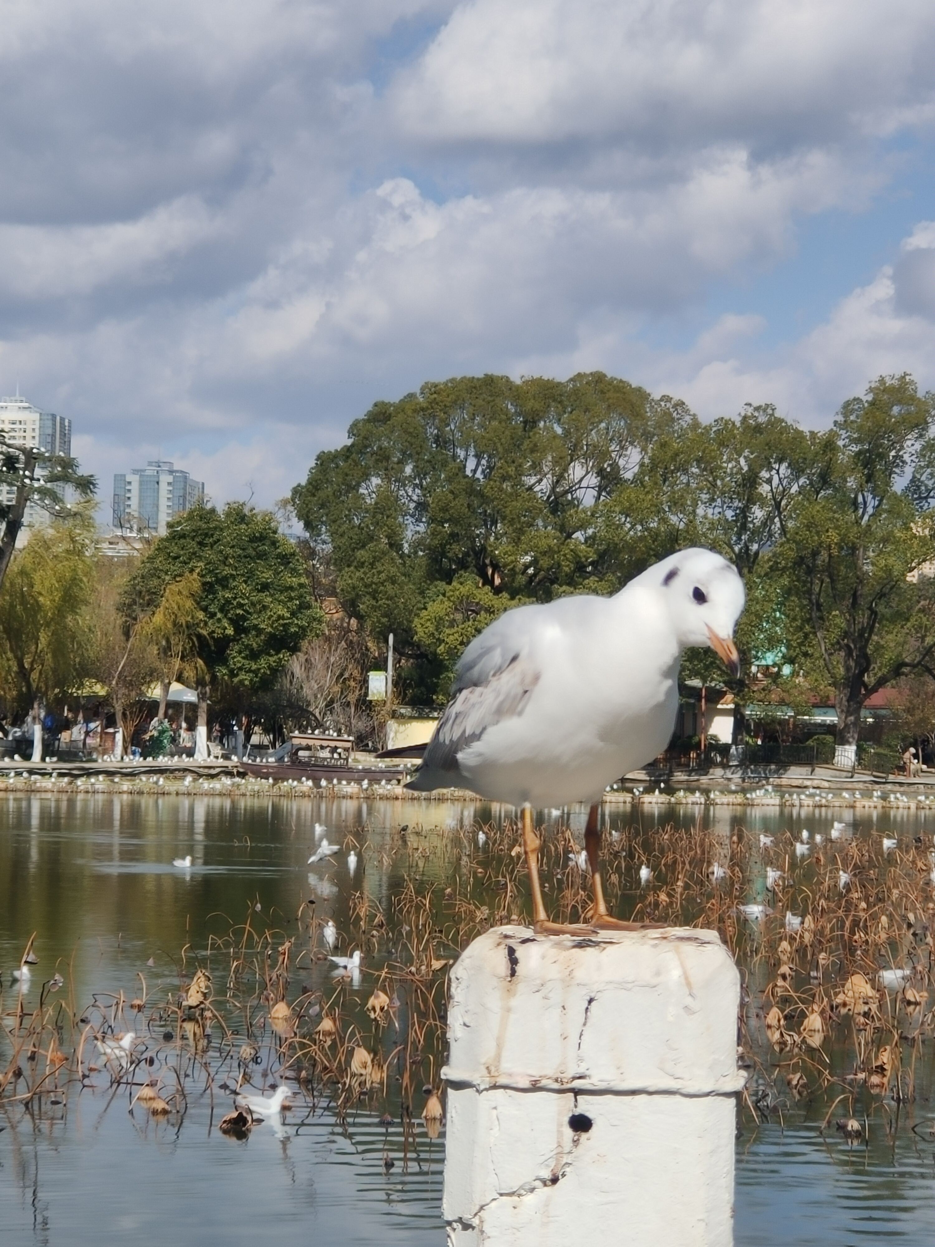我可以帮你策划1场云南旅行