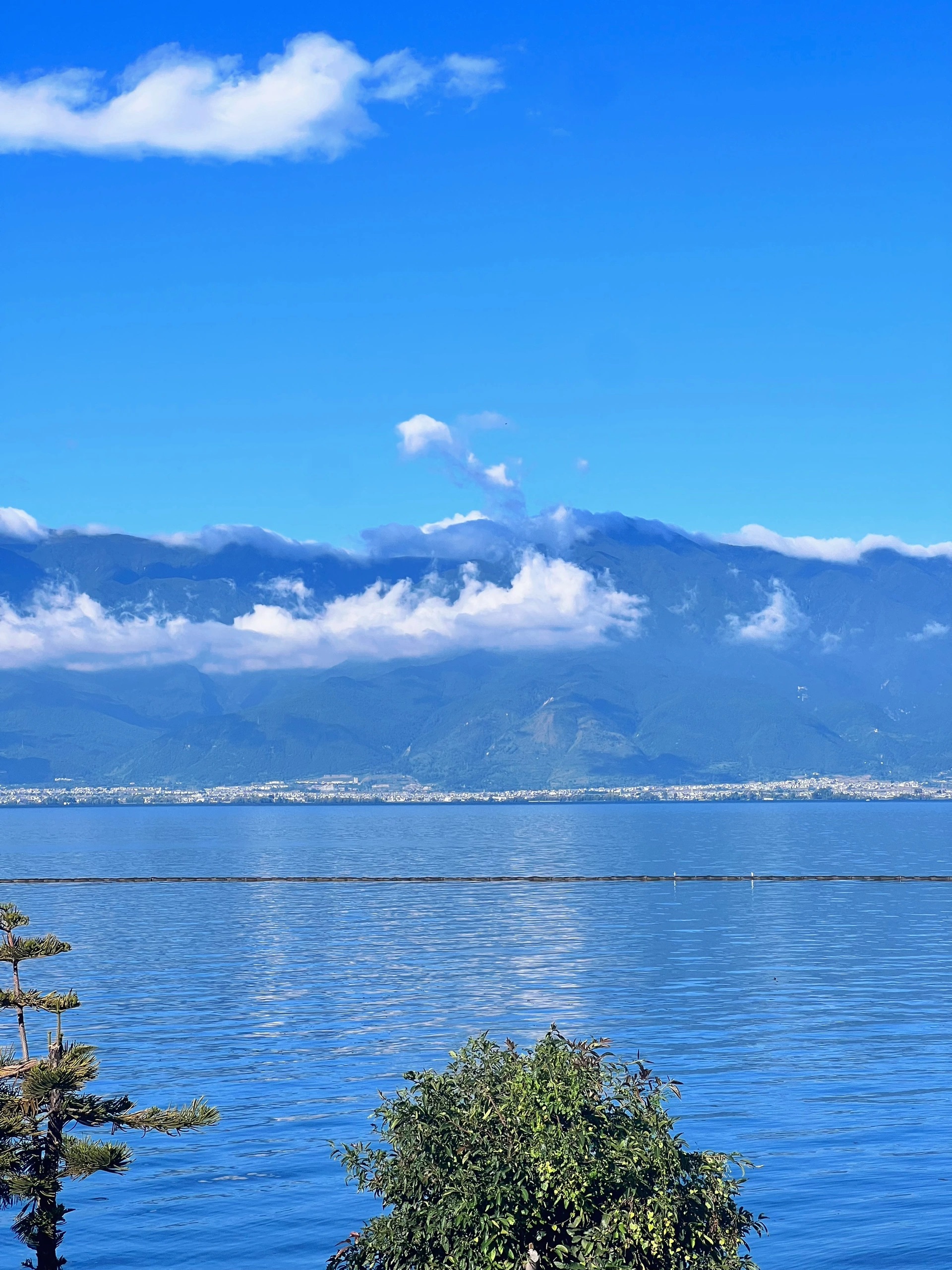 我可以0-1涨粉变现