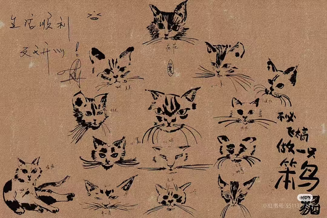 我可以做翻译工作，500字文章