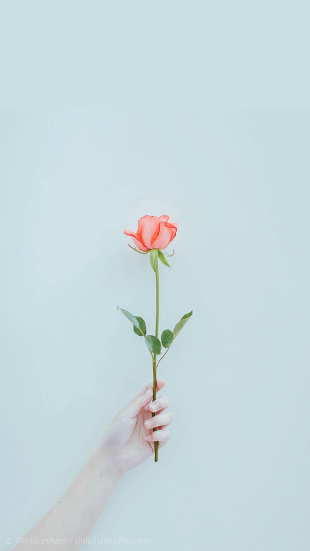 我可以做一个合格的倾听者