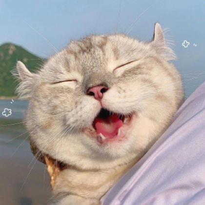 我可以剪辑2-15分钟短视频，做超级表格，完成300字文案编写