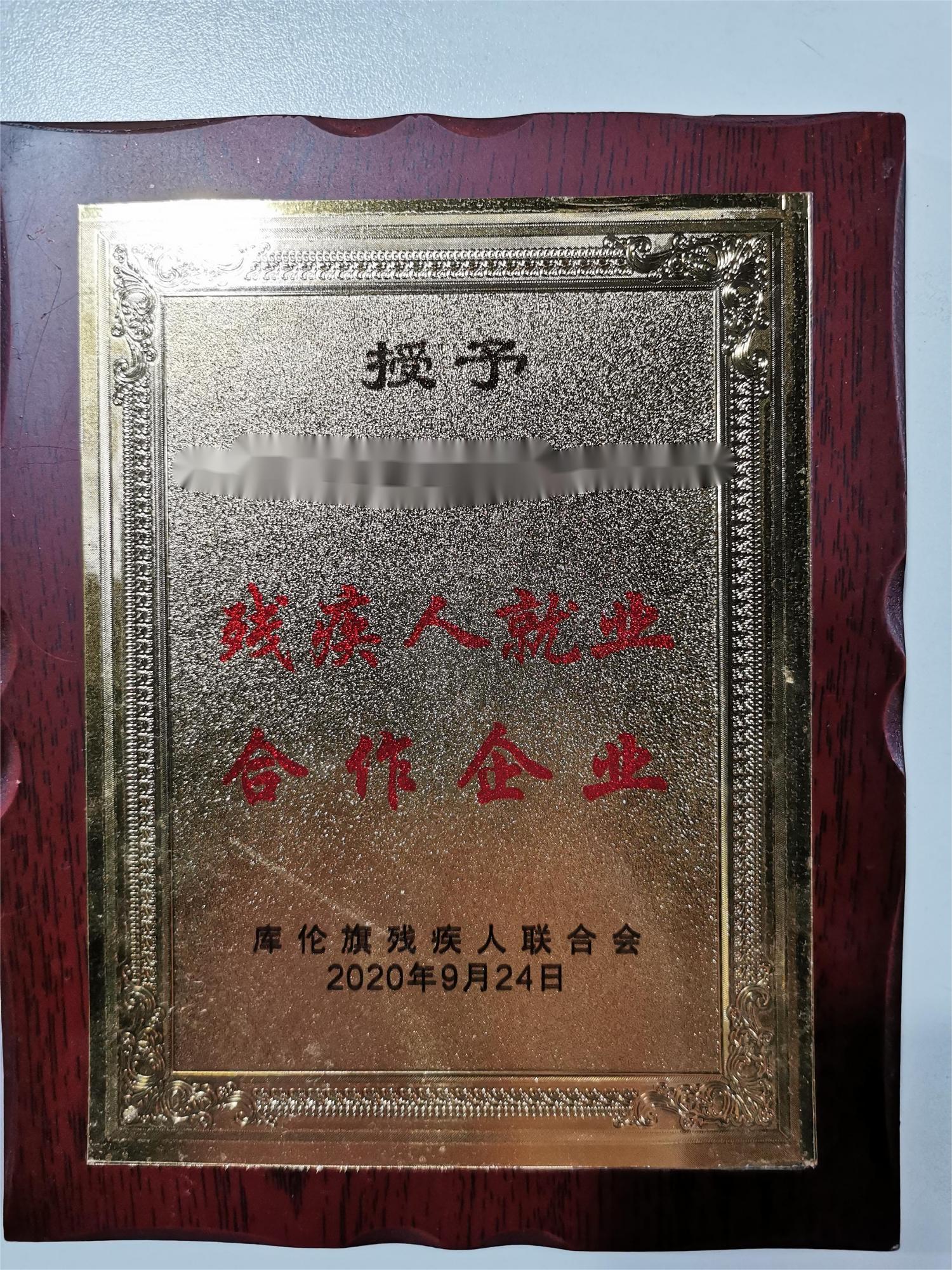 我可以提供1项残疾人就业服务（为企业大幅减免残保金费用）