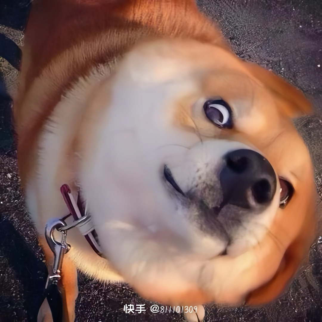 我可以辅导，2小时语文 历史 地理