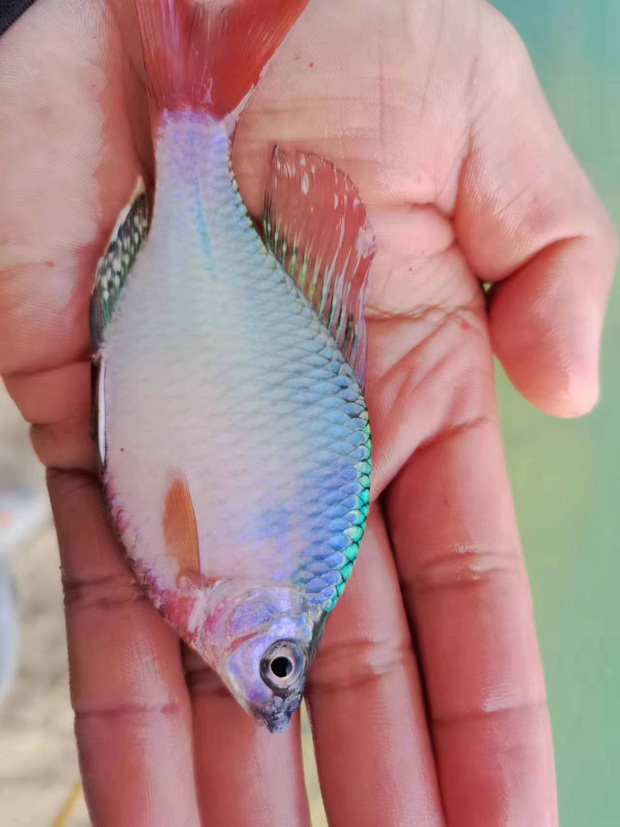 我可以1、叫醒服务，陪聊，陪玩，情绪发泄，安静的倾听者，保守秘密的朋友