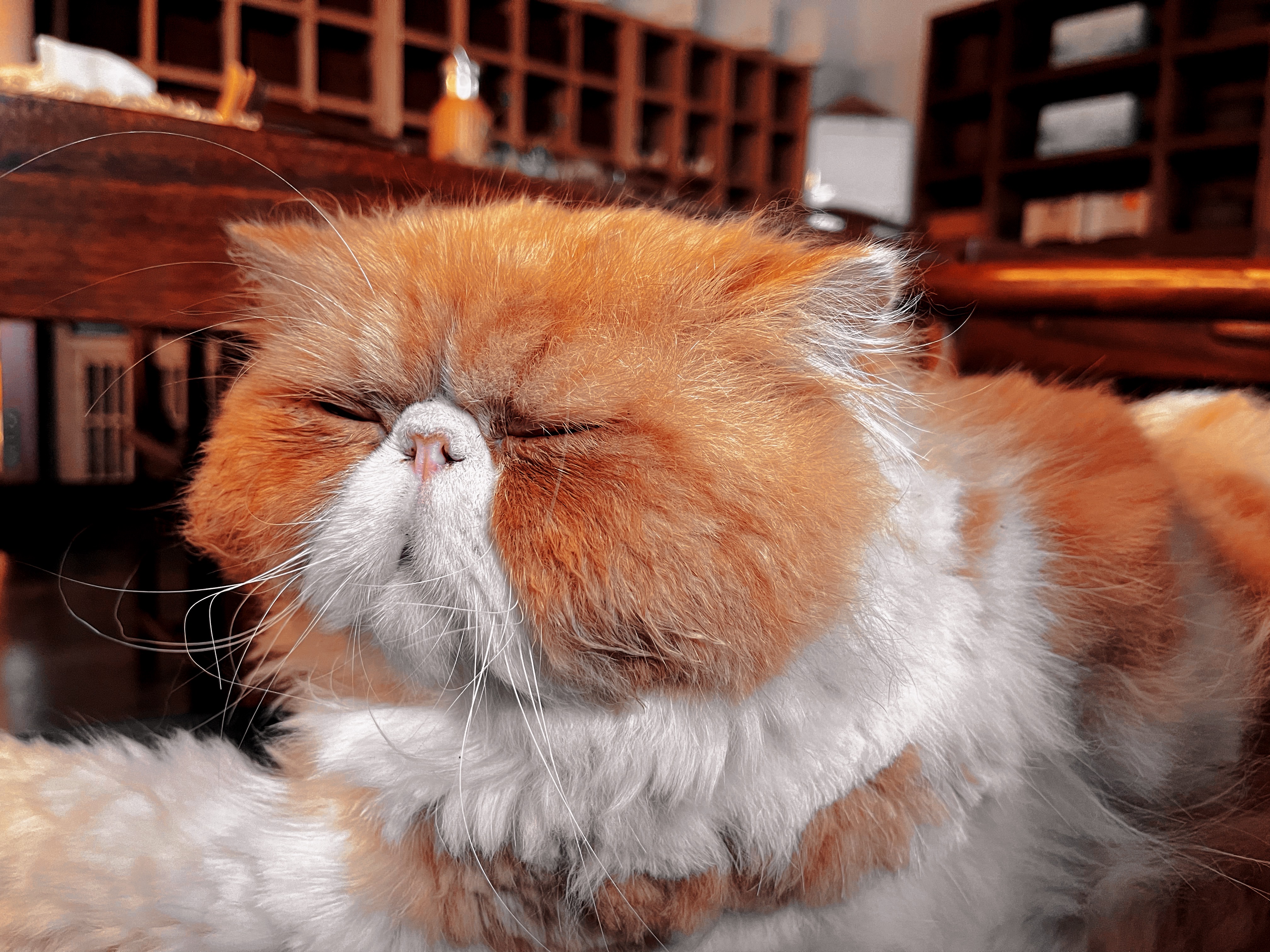 我可以ps修图，人物调整，建筑等，一张