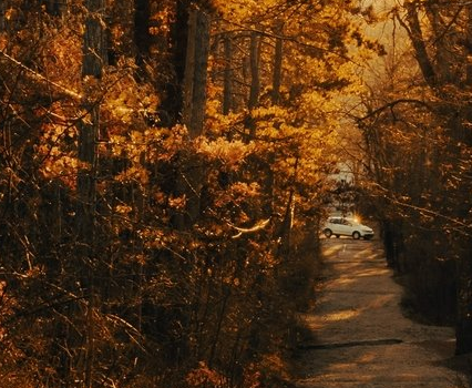 我可以完成500字的知乎/微博/小红书等渠道的产品宣传文案的编写、翻译相关文案（英语、日语、韩语）