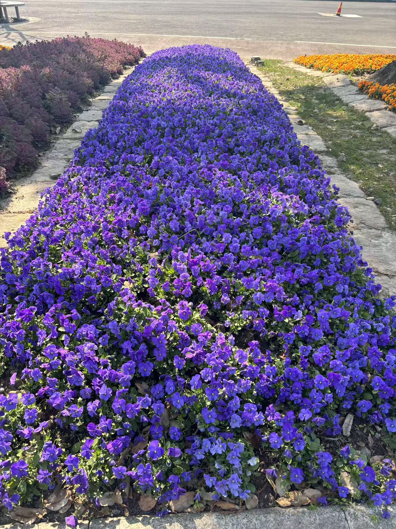 我可以为企业税收筹划，资金融通，业务梳理，处理10家企业财务报税