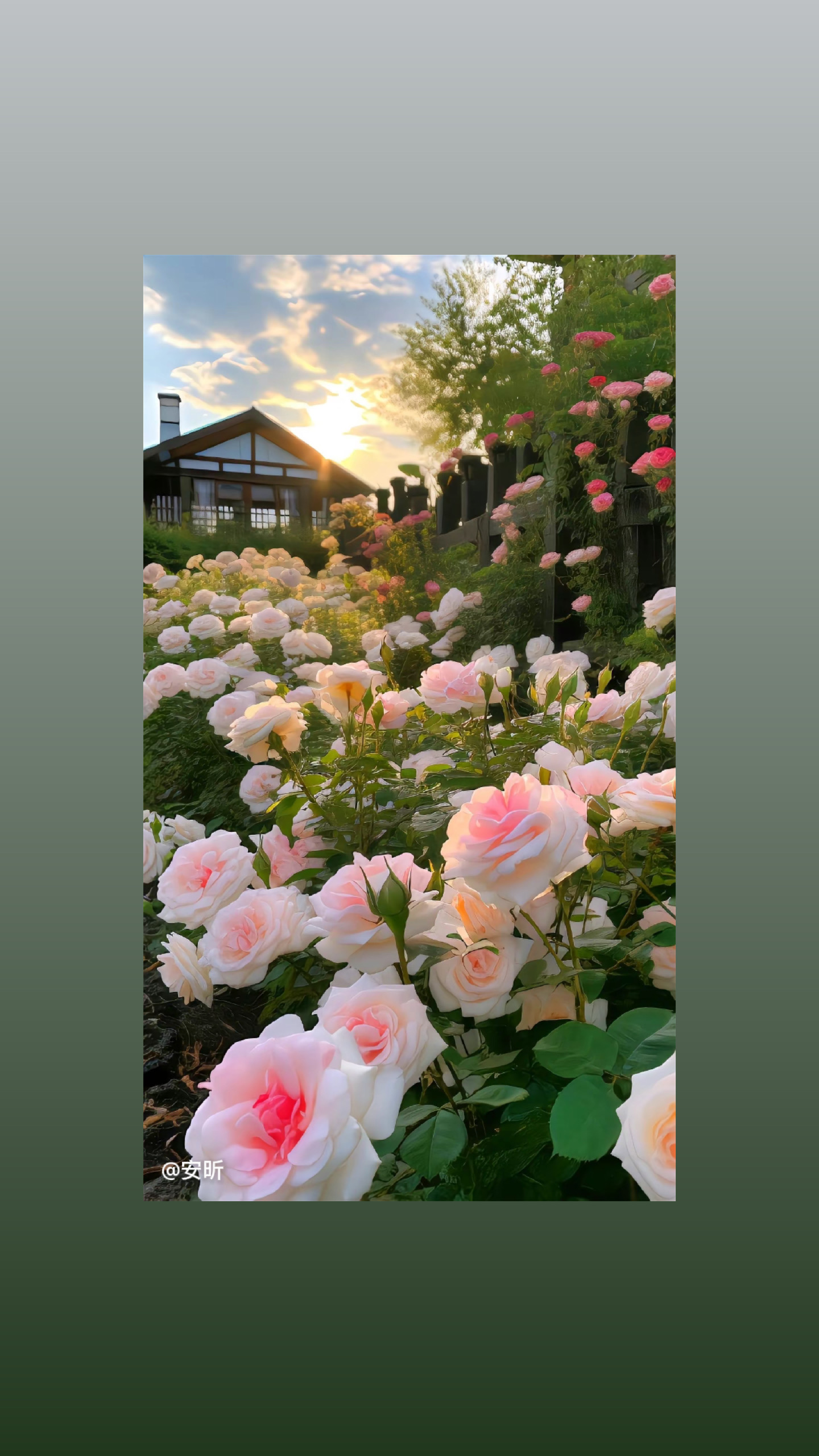 我可以在上海当地陪玩6小时