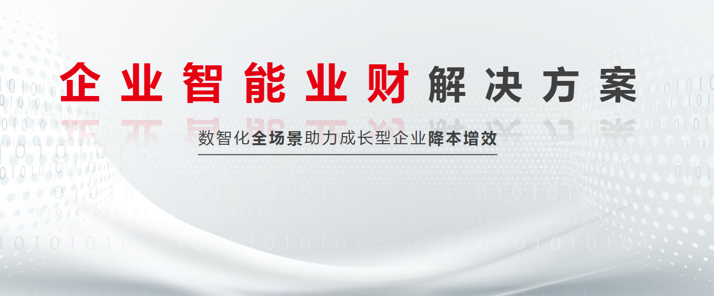 我可以根据企业的情况规划信息化流程，及基础数据的完善，接口的测试等1