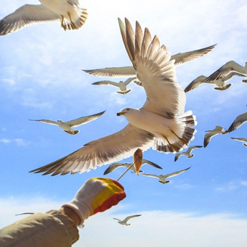 我可以负责两个微信群