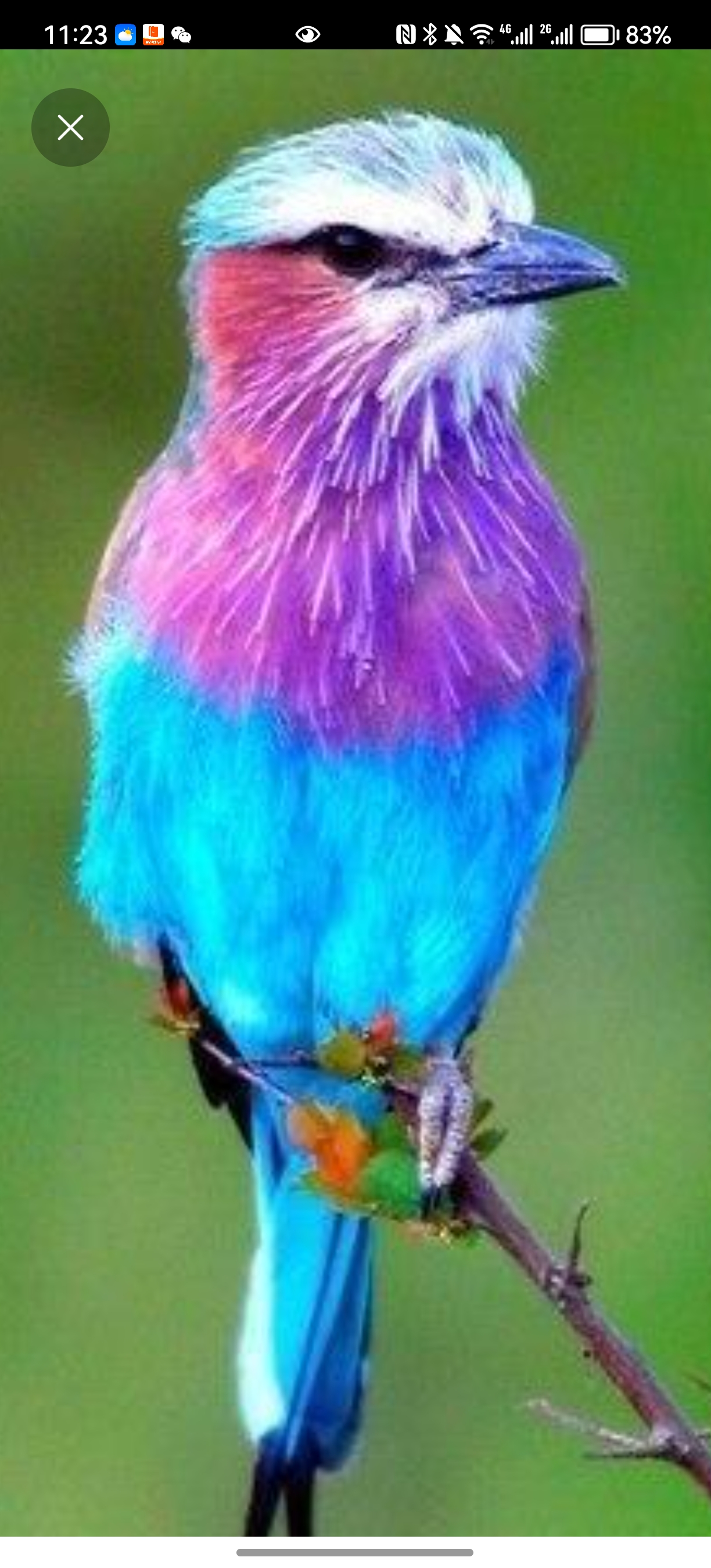 我可以帮你1小时疏解心理问题