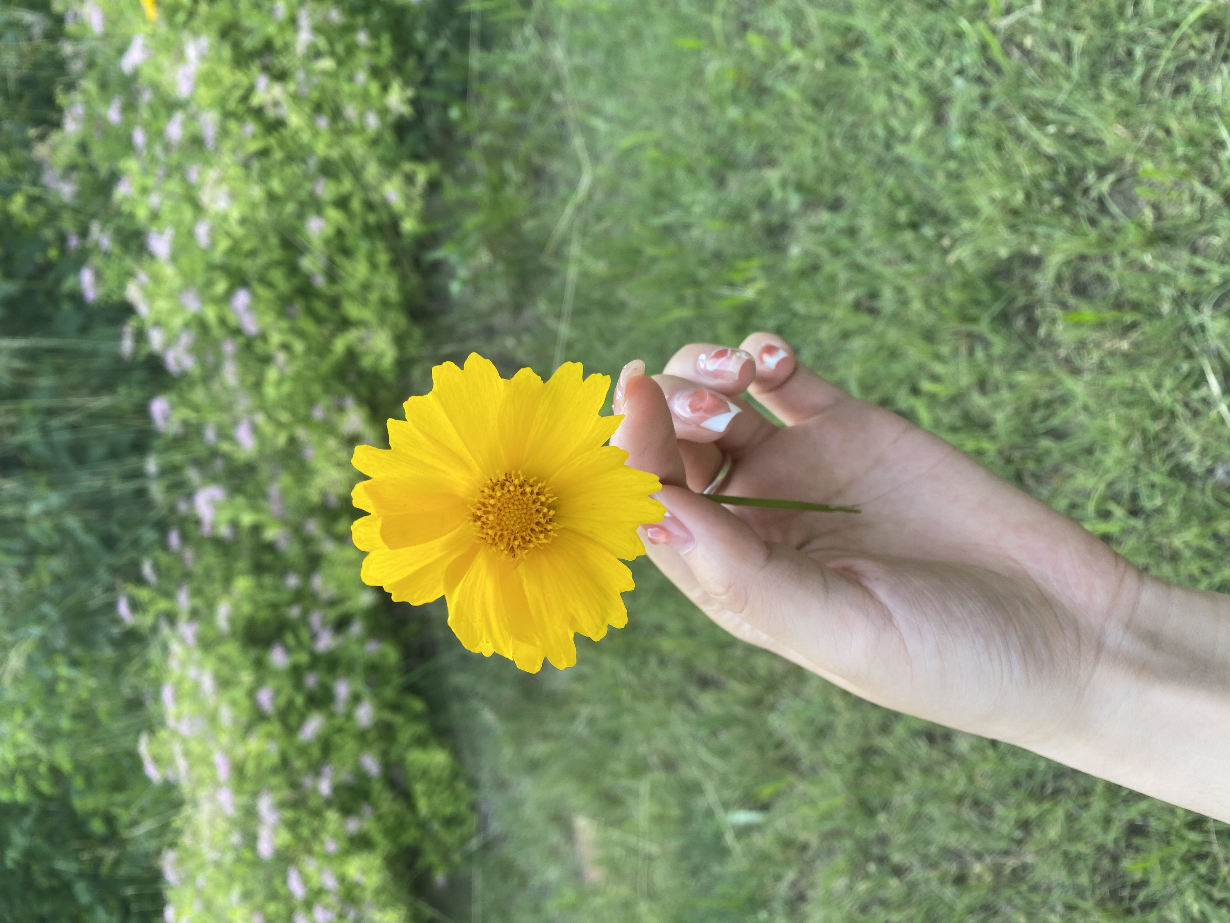 我可以做你的2小时情感垃圾桶 分析你的感情状况 让你的情绪发泄