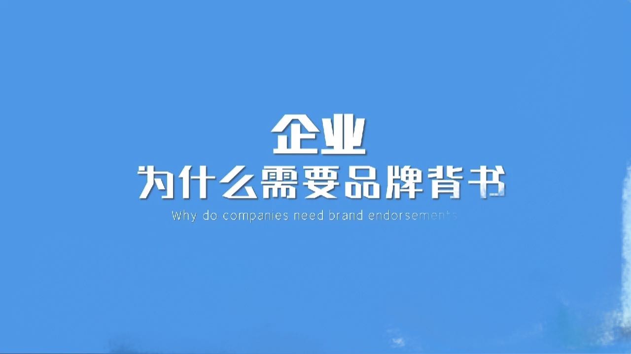 我可以为你沟通一场企业背书，提供客户信任度