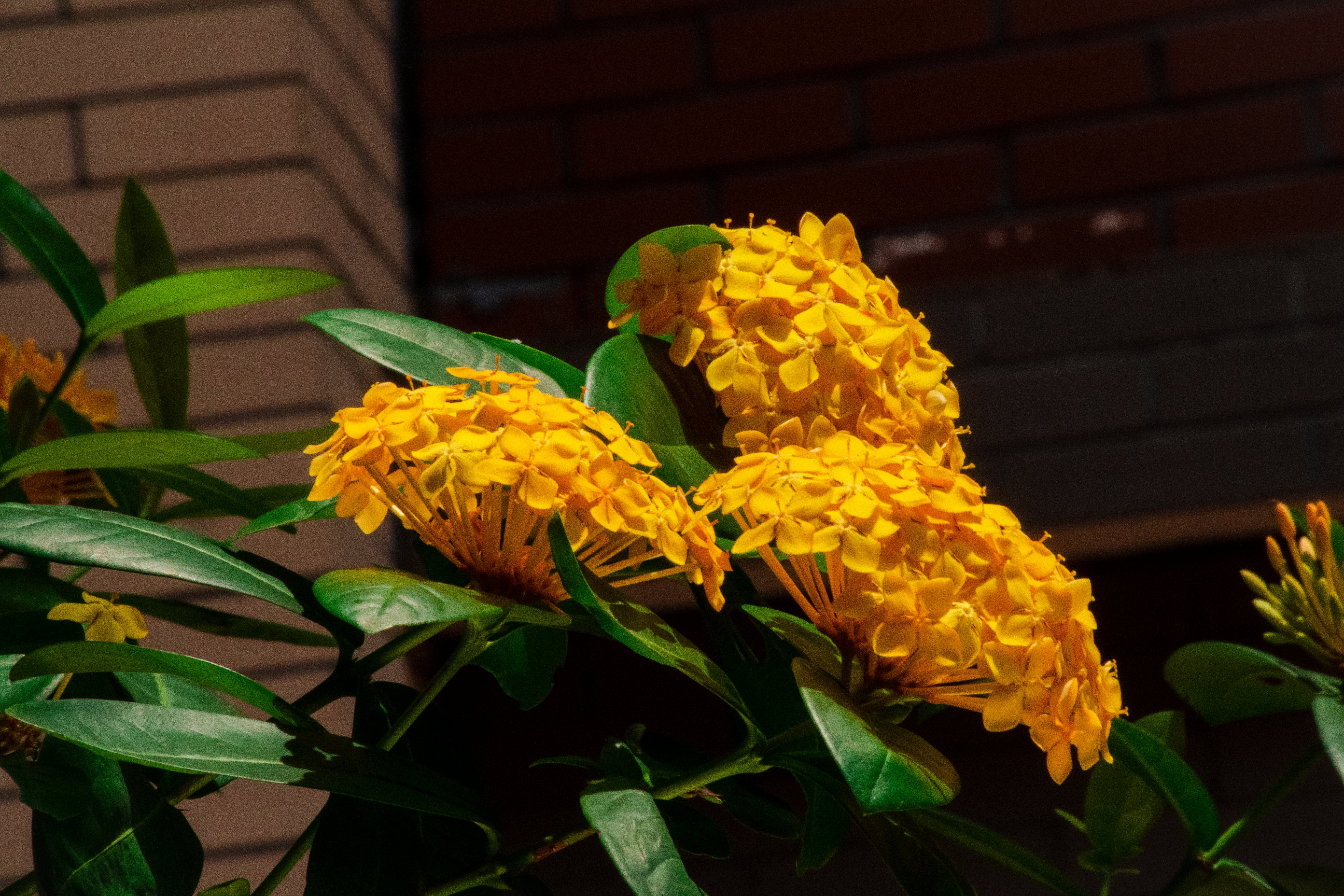 我可以视频剪辑，配音后期，服务照片精修，可以剪辑15s到30min不等视频