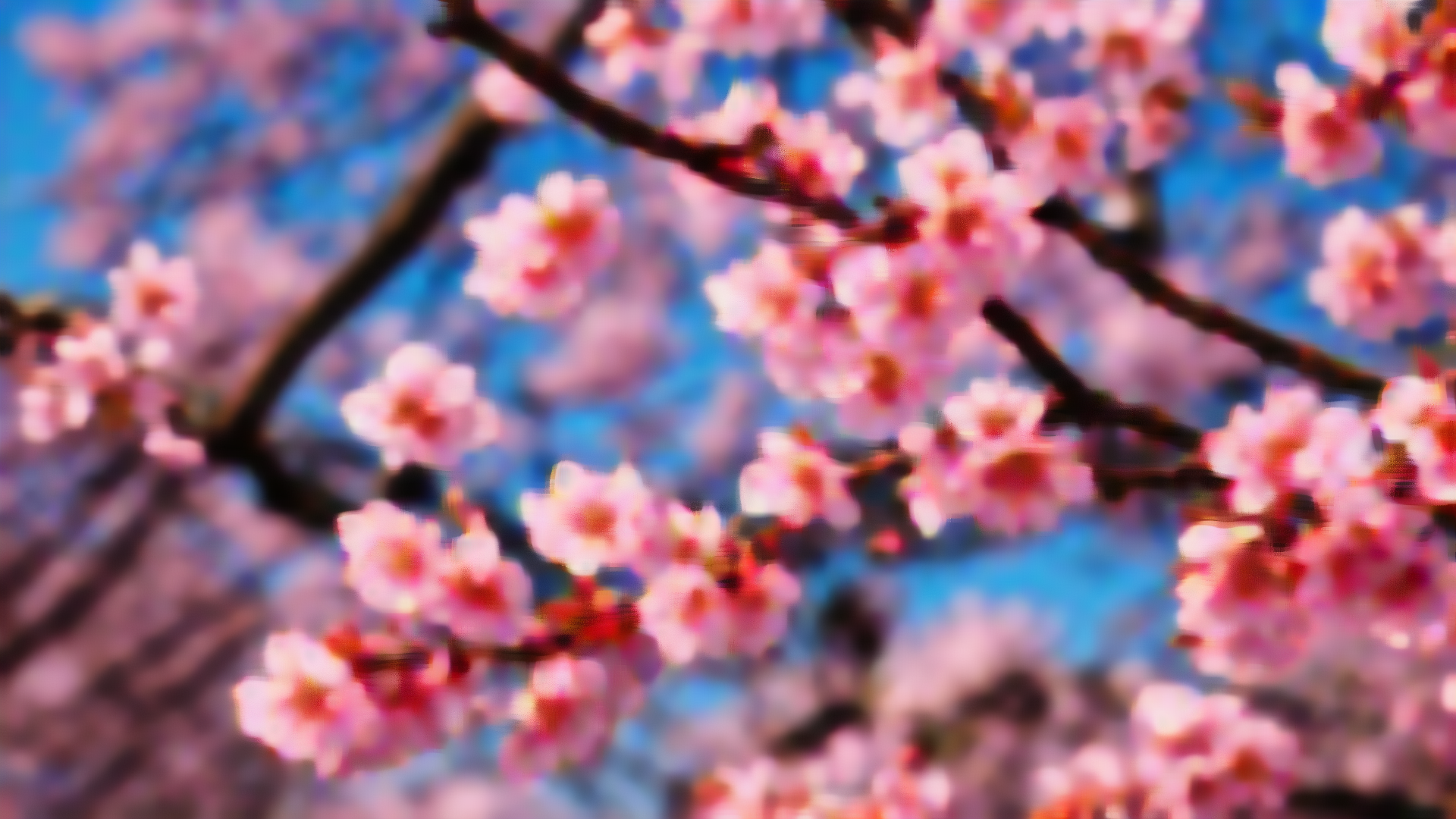 我可以开发一个iOS app、上架AppStore