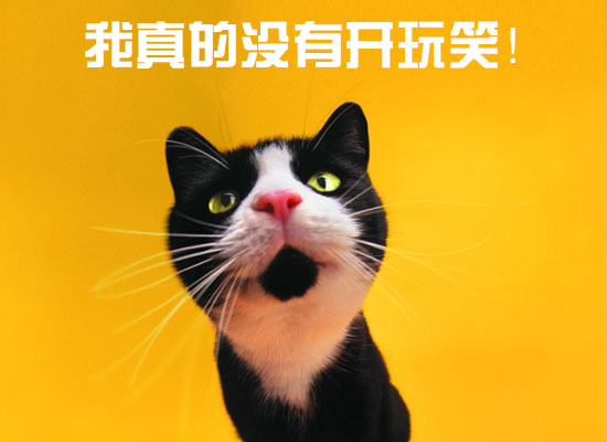 我可以作业辅导，500字文章，投标，招聘等